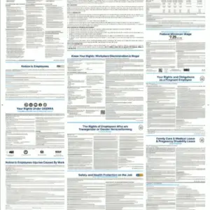 california labor law poster-English