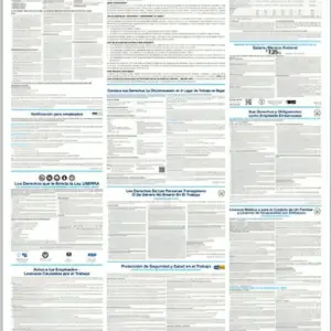 california labor law poster-Spanish